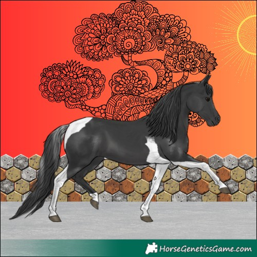 Horse Color:Black Tobiano 