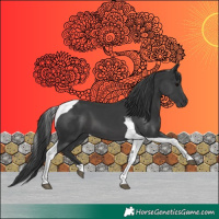 Horse Color:Black Tobiano 
