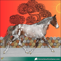 Horse Color:White Spotted Liver Chestnut Sabino 