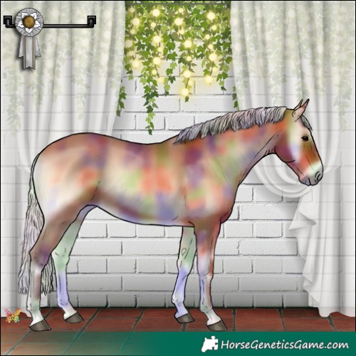 Horse Color:Nacre Silver Bay Onyx 