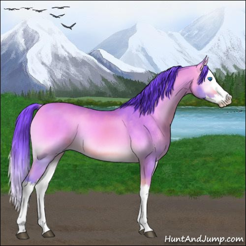 Horse Color:Watercolor Buckskin Onyx Splash