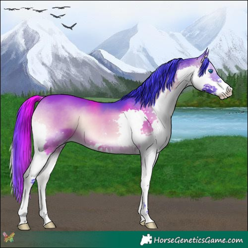 Horse Color:Watercolor Bay Onyx Splash 
