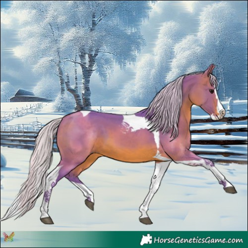 Horse Color:Watercolor Silver Brown Splash Tobiano 