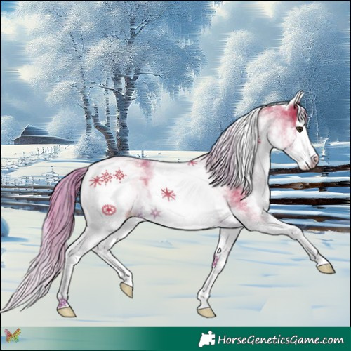 Horse Color:Watercolor White Spotted Liver Chestnut Splash 