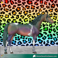 Horse Color:Watercolor Bay Tobiano
