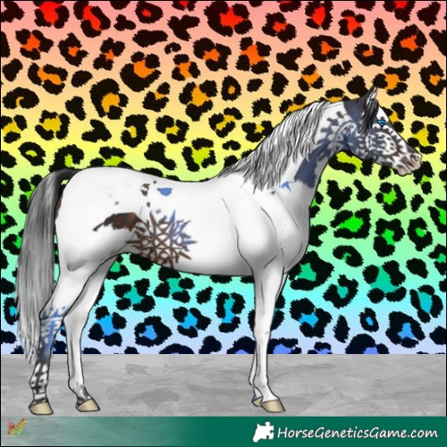 Horse Color:Brown Splash Tobiano 