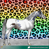Horse Color:Brown Splash Tobiano