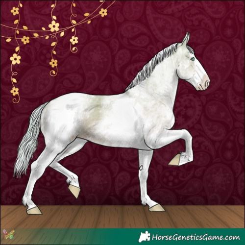 Horse Color:Watercolor White Spotted Silver Amber Champagne Dun Splash Tobiano