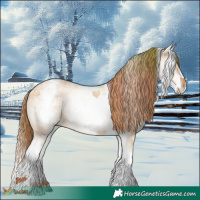 Horse Color:Plaid  White Spotted Red Dun Splash Rabicano 