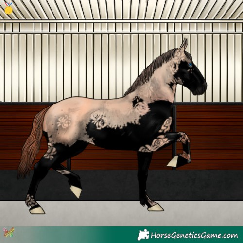 Horse Color:Void Amber Champagne Splash 