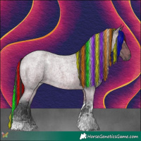 Horse Color:Painted Brown Roan Tobiano