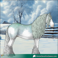 Horse Color:Watercolor White Spotted Silver Bay Splash 