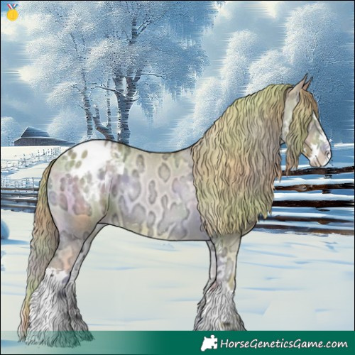 Horse Color:Nacre Watercolor Gold Champagne Ice Onyx Sabino Appaloosa 