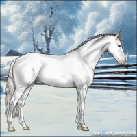 Horse Color:Palomino Ice Sabino Tobiano Appaloosa 