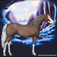 Horse Color:Silver Brown Roan Splash Rabicano 
