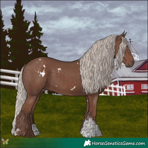 Horse Color:White Spotted Silver Black Sabino