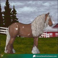Horse Color:White Spotted Silver Black Sabino 