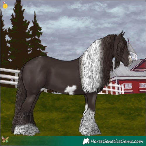Horse Color:Liver Chestnut Tobiano Frame 