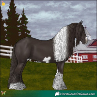 Horse Color:Liver Chestnut Tobiano Frame 
