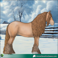 Horse Color:Bay Pearl