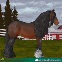 Horse Color:Brown Sabino