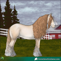 Horse Color:Buckskin Pearl 