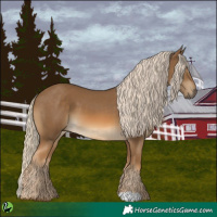 Horse Color:Chocolate Palomino 