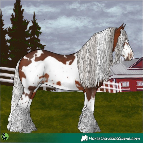 Horse Color:White Spotted Silver Brown Splash Frame Rabicano 