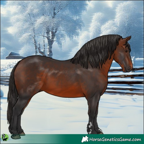 Horse Color:Brown 