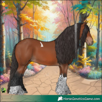 Horse Color:Bay Tobiano 