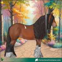Horse Color:Bay Tobiano 