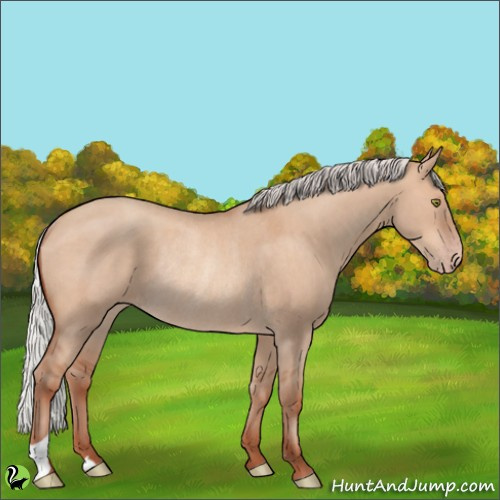 Horse Color:Silver Sable Champagne Dun Rabicano 