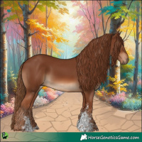 Horse Color:Chestnut Sabino 