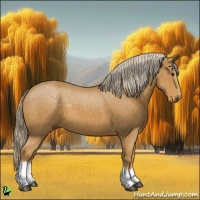 Horse Color:Palomino Tobiano 