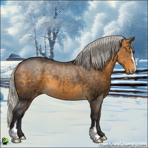 Horse Color:Silver Buckskin Sabino 