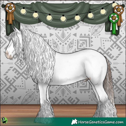 Horse Color:Brown Near Leopard