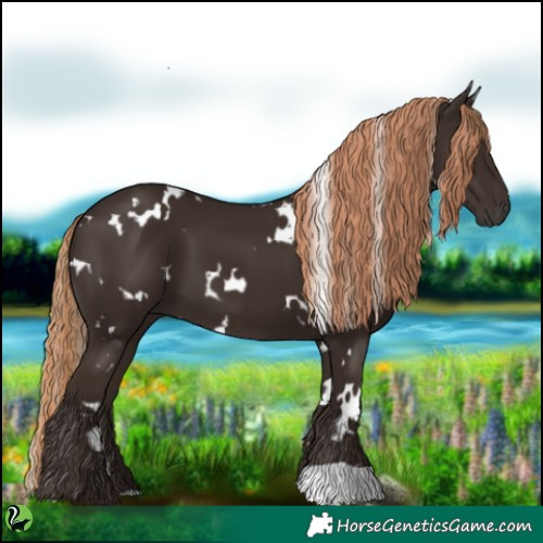 Horse Color:White Spotted Liver Chestnut