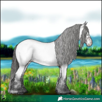 Horse Color:White Spotted Brown Appaloosa 