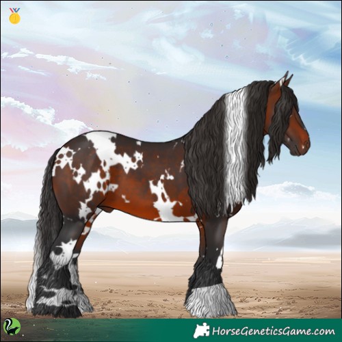 Horse Color:White Spotted Brown 