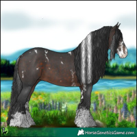 Horse Color:White Spotted Brown Sabino 