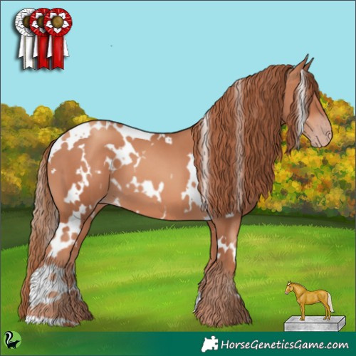 Horse Color:White Spotted Gold Champagne 