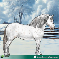 Horse Color:Bay Roan Near Leopard 