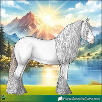 Horse Color:White Spotted Liver Chestnut Leopard 