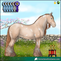 Horse Color:White Spotted Sable Champagne Pearl 