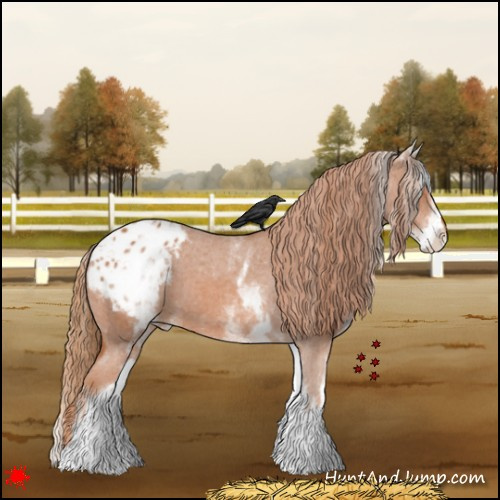 Horse Color:White Spotted Chestnut Blanket 