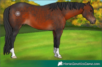 Horse Color:Brown 