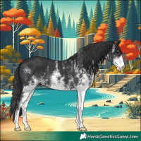Horse Color:White Spotted Black