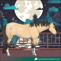 Horse Color:Buckskin 