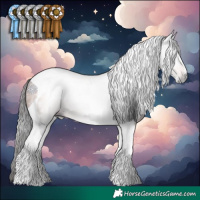 Horse Color:Gray Bay Tobiano
