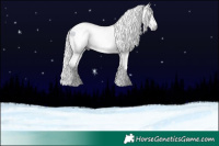 Horse Color:Gray Black Tobiano 